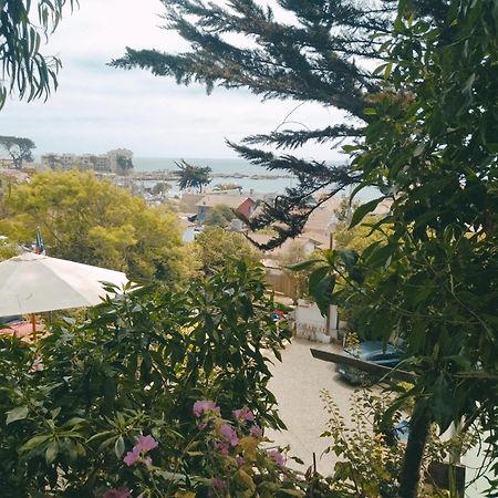 Cabanas El Bosque Maitencillo  Dış mekan fotoğraf